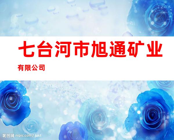 七台河市旭通矿业有限公司